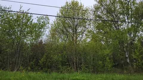 2 Byrd Street, Eastport, ME 04631