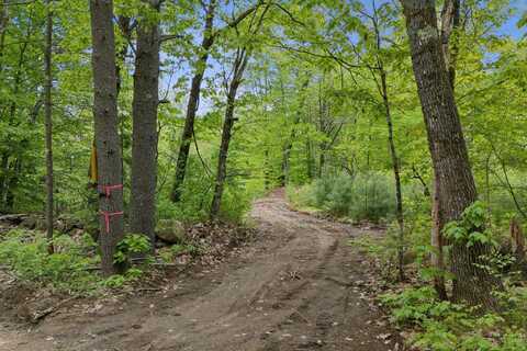 Lot 2 Hasty Road, Parsonsfield, ME 04047