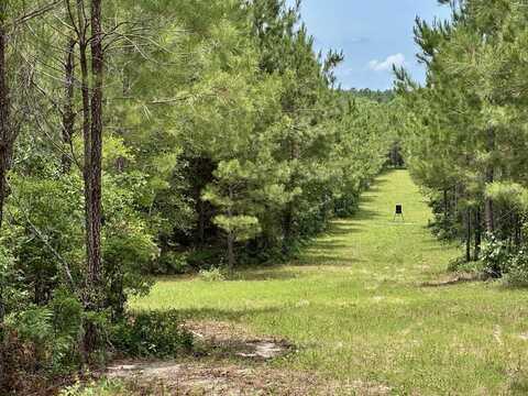 0 Jim Pruett Rd., Eastman, GA 31023