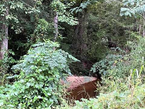 0 Pinhook Road, Demopolis, AL 36732