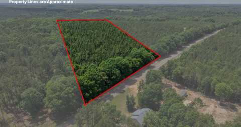 0 Live Oak Road, Luverne, AL 36049