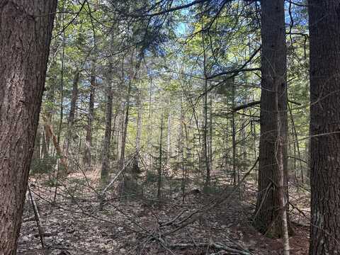 Lot#10 Shamrock Lane, Damariscotta, ME 04543