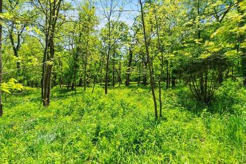 26359 N Hickory Road, Mundelein, IL 60060