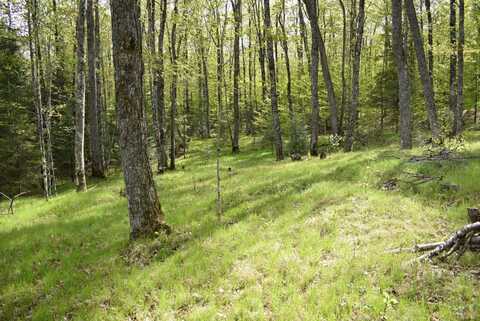 1813 State Highway 101, Florence, WI 54121