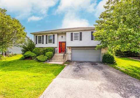 20005 S Mallory Drive, Frankfort, IL 60423