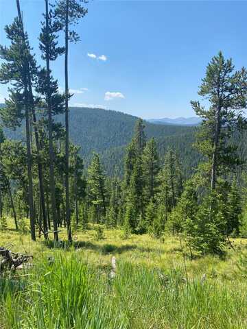 Nhn Argo Mine Road, Philipsburg, MT 59858