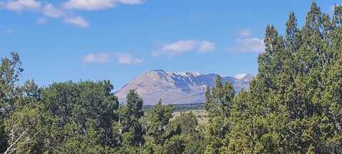 TBD Greenhorn Village, Walsenburg, CO 81089