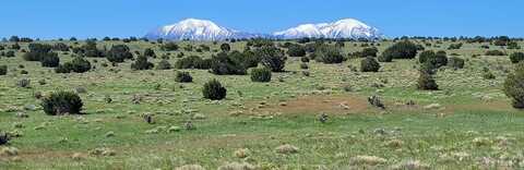 77 Rio Cucharas, Walsenburg, CO 81089