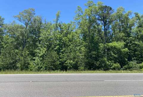 19 Acres Goldenrod Avenue, Gadsden, AL 35901