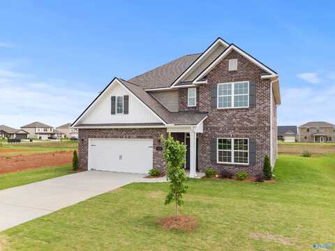 206 Irish Hill Drive, Meridianville, AL 35759