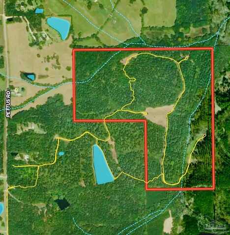 0 Pettus Rd, Lapine, AL 36046