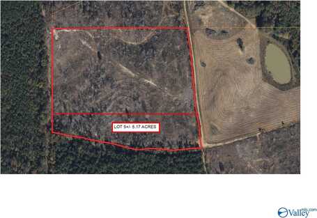 5.17 Acre Lot#5 Kuydendall Road, Winfield, AL 35594