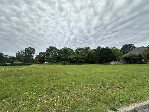 Lot 33 Jaunita Street, Athens, AL 35613