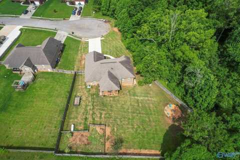 115 Grassy Bank Drive, New Market, AL 35761