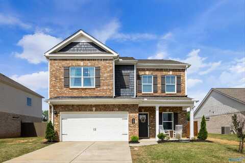 162 Morning Dew Road, Toney, AL 35773