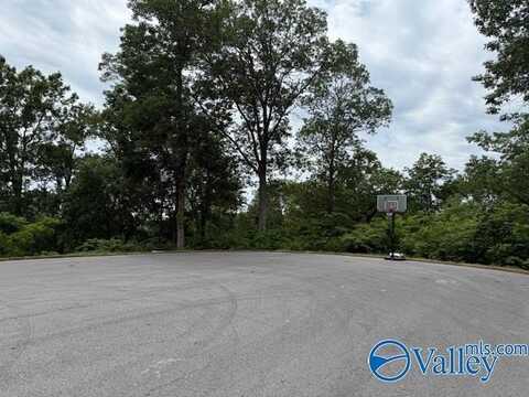 5/6 Kemper Circle, Guntersville, AL 35976