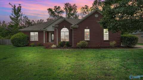 228 Chestnut Oak Circle, Owens Cross Roads, AL 35763