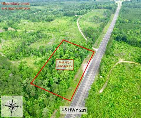 00 US HWY 231 S, Brundidge, AL 36010