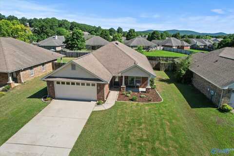 5008 Montauk Trail, Owens Cross Roads, AL 35763