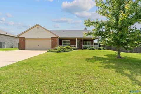 108 Landings Way Drive, Toney, AL 35773
