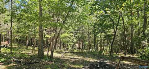 17+/- Acres County Road 361, Pisgah, AL 35765