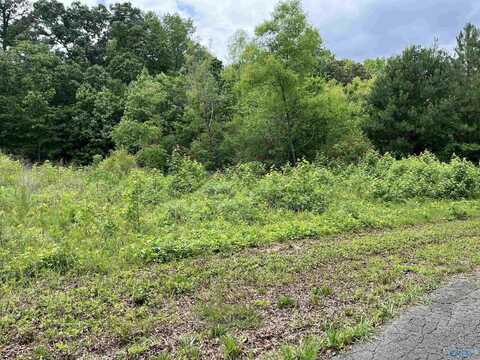 Lot #14 Country Cove Road, Crossville, AL 35962