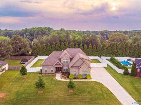 20009 Capitol Hill Drive, Tanner, AL 35671