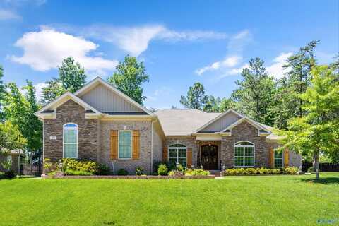 20 Natures Ridge Way SE, Huntsville, AL 35803