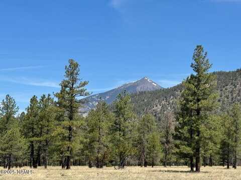 Lot 4 N Quintana Drive, Flagstaff, AZ 86001