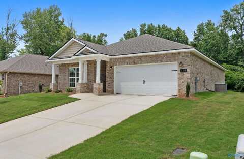 158 River Pointe Drive, New Market, AL 35761