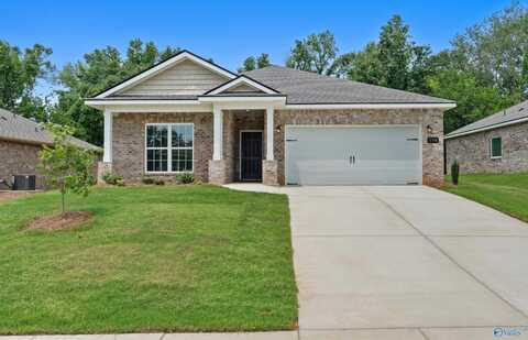 158 River Pointe Drive, New Market, AL 35761