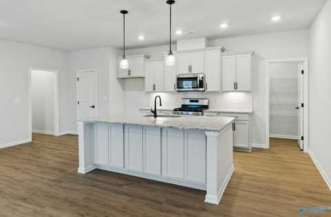182 Saddle Street, New Market, AL 35761