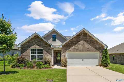 125 Paul Drive, Brownsboro, AL 35741
