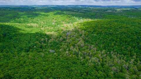 TBD Tract 1 Greens Run, Kingwood, WV 26537