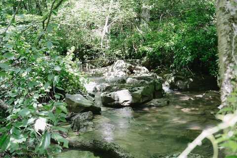 TBD Tract 2 Greens Run, Kingwood, WV 26537