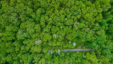 TBD Tract 2 Greens Run, Kingwood, WV 26537