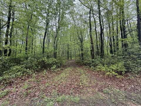 Lot 1 Sportsman Trl Trail, Stroudsburg, PA 18360