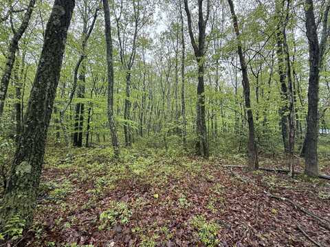 Lot 3 Sportsman Trl Trail, Stroudsburg, PA 18360