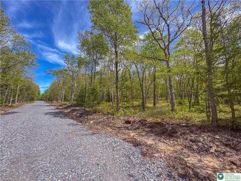 Lot 567 Cross Run Road, Jim Thorpe, PA 18229
