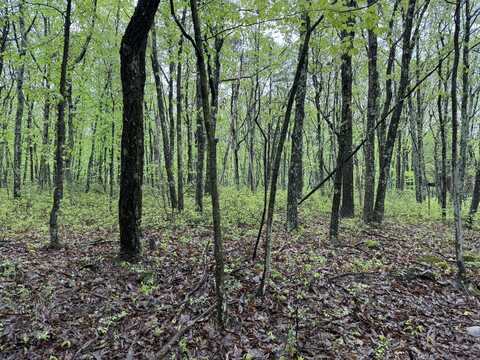 Lot 2 Sportsmans Trail, Stroudsburg, PA 18360