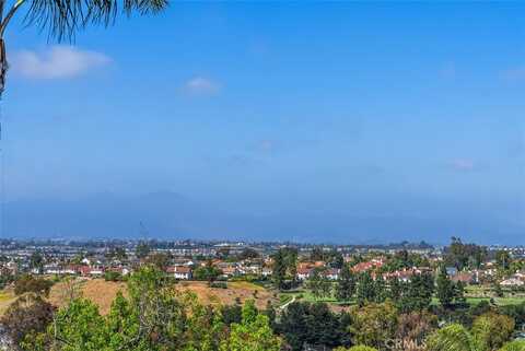 29206 Alfieri Street, Laguna Niguel, CA 92677