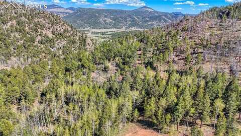 56 Fir Lane, Florissant, CO 80816