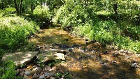 Tract 1 Timber Ridge Road, Blairsville, GA 30512