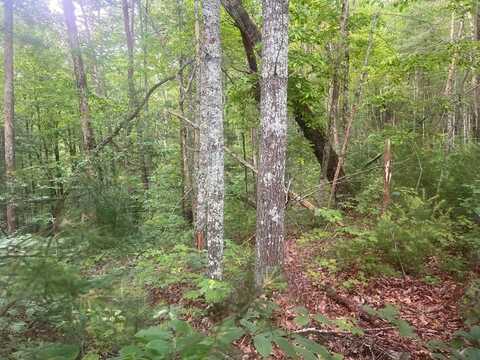 Lot 100 Ashe Court, Ellijay, GA 30540