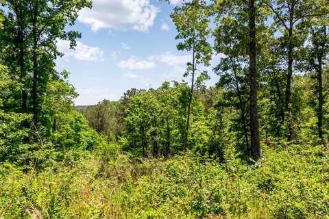 Lt160 Shallow Water Trail, Talking Rock, GA 30175