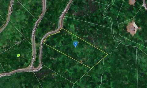 Andes Ridge, Ellijay, GA 30536