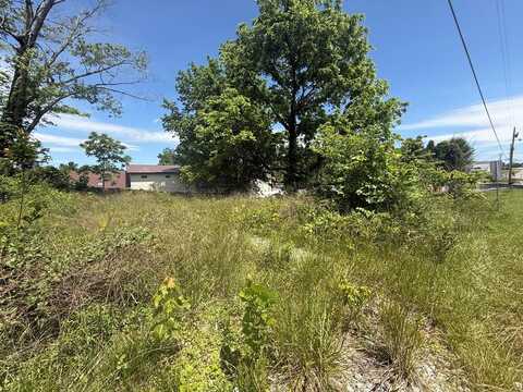 Lot 20 Second Street, Blue Ridge, GA 30513