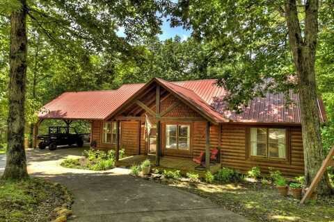 18 Eagle Mountain Drive, Ellijay, GA 30540