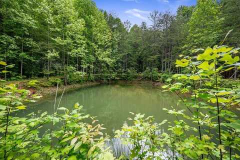13.67acs Piney Acres Road, Blue Ridge, GA 30513