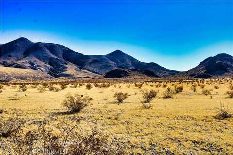 75777 Riverside Road, Newberry Springs, CA 92365